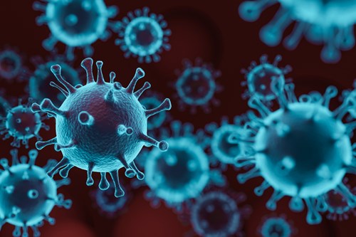 Magnified coronavirus 