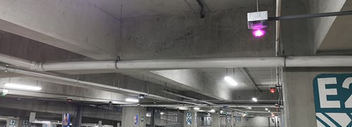 Parking guidance lights, illuminated purple, suspended from a parking garage ceiling