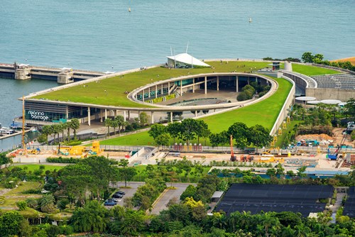 Green area by the sea