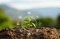 Green Solutions: Stock Image